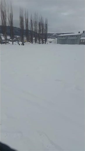 Soothing Snow Scene ❄️ Winter Relaxation Video #shorts