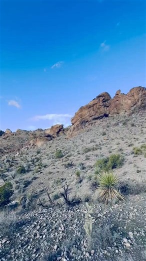 Desert Dance Girl got her Tambourine Soul sister breaking Out Dancing wild—streaming Ribbons Barefoot circles in the Sand Twirling Around Hair in the Air She’s not even aware of curious Eyes She’s dancing for Jehovah No music but a thumping Drum And jangling Tambourines Holler out Girl—Hallelujah! Listen to Miriam’s Song “Broke out bloody Passover Pharaohs army Pursued Sent his top-dog Troops Lil bother Moses Pushing Woe!—Caught in a Trap Tween devil mountains and the deep blue Sea ADONAI’S wind