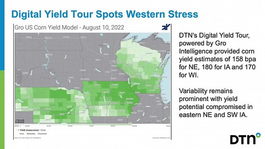 Wheat made the biggest splash in the grain markets Wednesday. Plus, Lead Analyst Todd Hultman and Russ Quinn discuss the latest projections in the DTN Digital Yield Tour, powered by Gro Intelligence. | DTN/The Progressive Farmer | Facebook