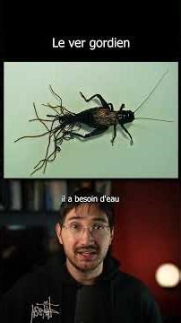 TIER LIST OF NATURE'S HORRORS #unusual