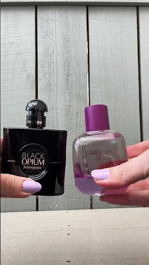 Zara Gardenia: The Ultimate Black Opium Dupe for Less! #blackopiumdupe #zaragardenia