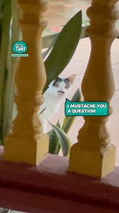 What a distinguished gentleman 🎩 | Furry Tails