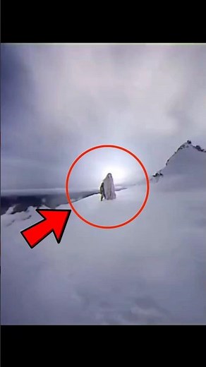 The Most🚫 Haunting and Unforgettable Birdsong You'll Ever Hear #birdsounds #terrifying