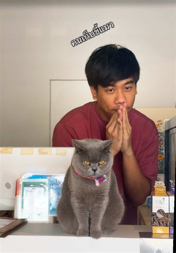 ประสบการณ์ไม่ดีที่คาเฟ่แมวบุรีรัมย์