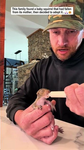 This family found a baby squirrel that had fallen from its mother, then decided to adopt it...