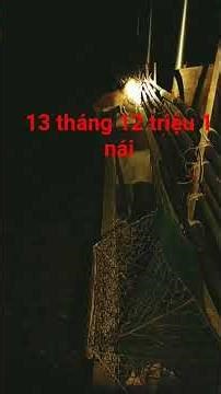 nuôi dê lái bao nhiêu 1 năm