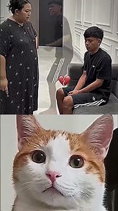 Bro Wait 😂#meme #dance #viralshort