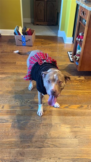 Leslie Hart (@lesliehart54)’s videos with original sound - Jen and Maggiepotamus 🦛