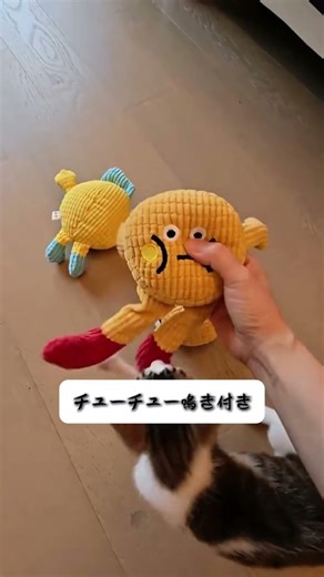 【必見】猫の歯垢が取れるおもちゃ紹介🐱夢中になりすぎて可愛い！ #shorts