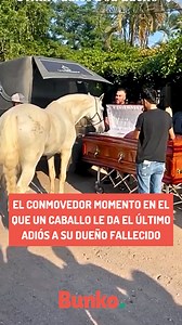 71K views · 3.5K reactions | El conmovedor momento en el que un caballo le da el último adiós a su dueño fallecido. Imposible no derramar lágrimas凉. #caballos #videodeanimales #lealtadanimal | Bunko | Facebook