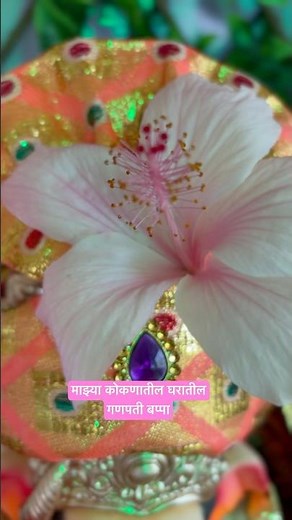 माझ्या कोकणातील घरातील गणपती बप्पा #kokanganpatiutsav #dapolikar #shortsfeed #ganeshchaturthi2025