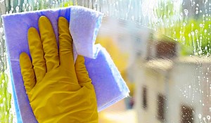 Homemade Window Cleaner Recipe