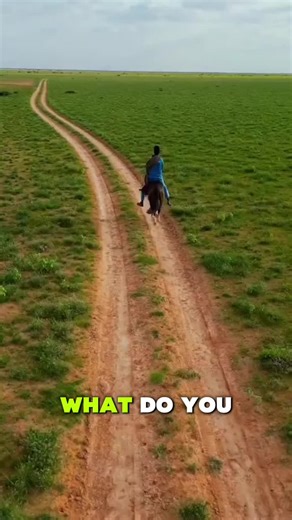 Discover the Rich Traditions of Somali Marriage