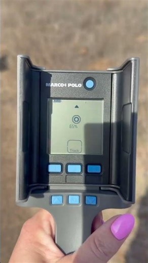 Up to four miles of tracking with no GPS or fees? Meet Marco Polo Pet Tracker!