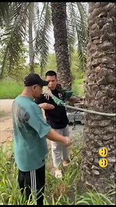 162K views · 4.8K reactions | #reels #memes #arabic #fyp #abduuu_21 | Halal Arabic Memes - Abduuu Vlogs | Facebook