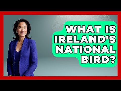 What Is Ireland's National Bird? - Discovering Ireland Now