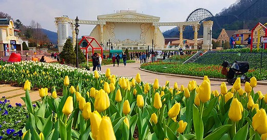 Everland Korea Discount Ticket - One Day Pass