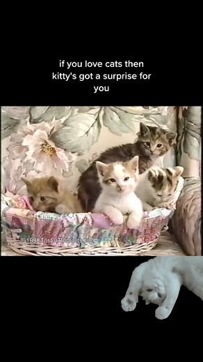 Kitty Cat watch commercial from 1999 #nostalgia #cats #catsoftiktok #kitty #kittensoftiktok #kitten #cat #1999 #90s #90sthrowback #90saesthetic #90scommercial