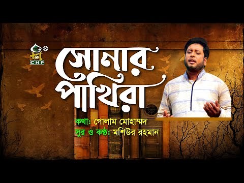 সোনার পাখিরা একে একে উড়ে যায় | Sonar Pakhira | Moshiur Rahman | Bangla Islamic Song