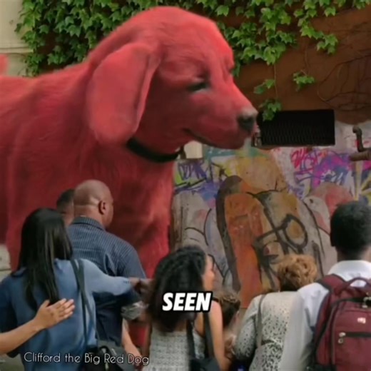 65K views · 2K reactions | Clifford the Big Red Dog. A young girl's love for a tiny puppy named Clifford makes the dog grow to an enormous size. #movie #movieclips #movietime #movienight #MovieMagic #movienetflix | All About Comedy | Facebook