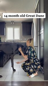 It’s the horizontal lift for me🤪￼ | Olympus Great Danes