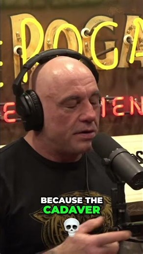 ACL Reconstruction. Cadaver vs Patellar Tendon Recovery