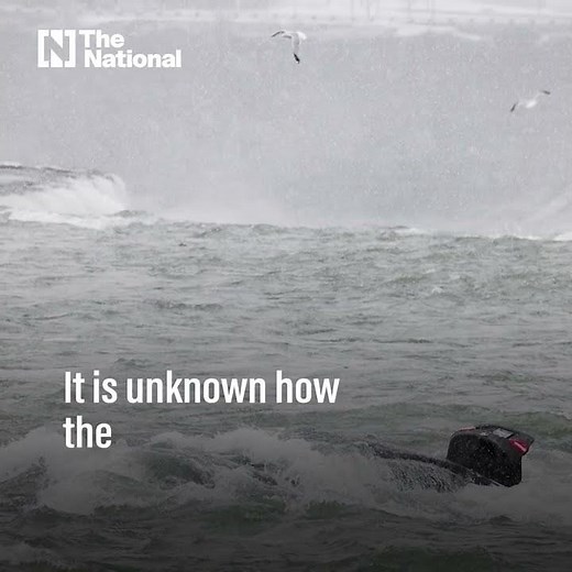 Car plunges into river near Niagara Falls