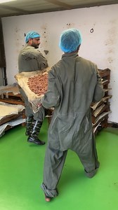 14K views · 67 reactions | How Asafoetida is Made in India  | Mr. Ladoo | Facebook