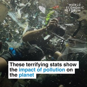 230K views · 4.1K reactions | Unclean air causes 4.2 million deaths every year.  Learn more about air pollution: https://wef.ch/2UQTIqT | World Economic Forum | Facebook