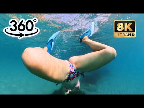 Immersive 360° Dive with Fins in the Mediterranean’s Hidden Bays