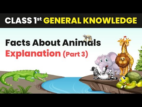 Facts About Animals (G.K) - Explanation (Part 3) | Class 1 General Knowledge (G.K)