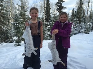 Snaring Rabbits and Making Rabbit Stew