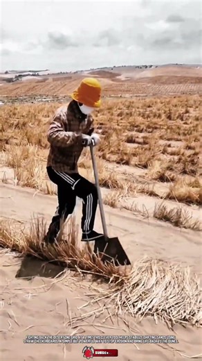 Manual Sand Fixation Tool: Faster Desert & Dune Straw Grid Installation