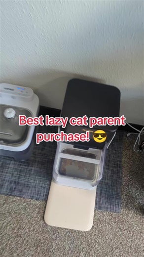 Best Automatic Cat Feeder for Lazy Cat Parents