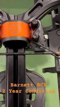 Barnett BCX Year 2 #crossbowhunting #deerhunting #barnett #crossbow #hunting
