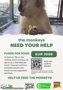 4.3K views · 60 reactions |  Help Feed Our Monkeys – Donate Food...