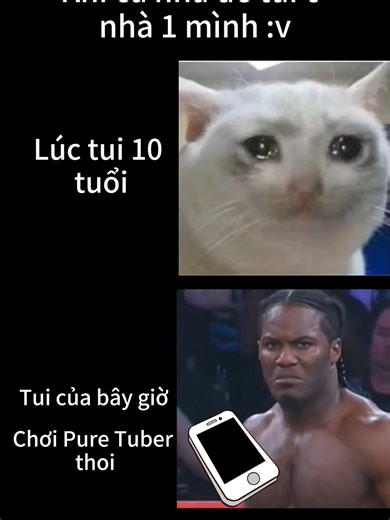 Trưởng thành rồi 😁😁 #puretuber #vui #haihuoc #mèo #cat #funny #funnyvideos