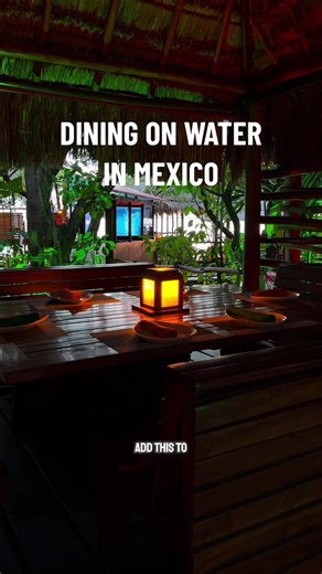 If you’re planning a trip to Cancun, you’ve got to add this unique dining experience to your itinerary!✨ ElefanThai is located in the La Isla Cancun Mall. The ambience is so relaxing and the food is so flavorful. It was also decently priced. Certainly perfect for an evening occasion or outing. @Elefanthai Cancún #cancunrestaurant #cancunfood #cancuntravel #cancunitinerary #elefanthaicancun #cancunmexico #wheretoeatcancun