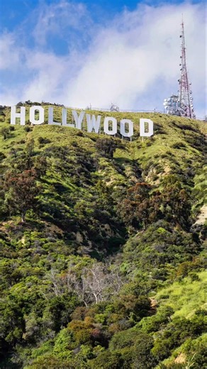 Top 20 Highest-Grossing Movies Ever Released 🎬🌍 Which movie have you watched more than once? #data