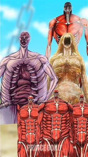Armin Colossal Titan vs Erwin titan 🔥 | Eren Kruger vs ALL Titans ⚔️ | Rod Reiss vs Ymir Nine Titans