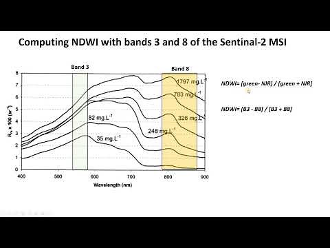 Calculate NDWI using Sentinel-2 MSI Images in QGIS (Lab 3, V4)