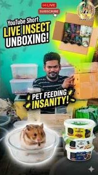 Hamster-க்கு Live Food? 🐹🐛 Healthy Protein Feeding! #hamster