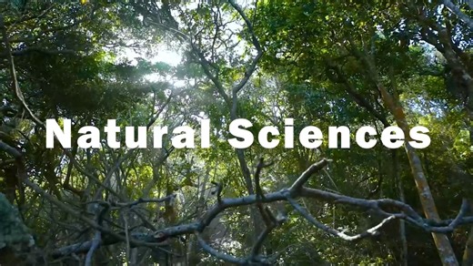 Careers from A to Z! Whether you are interested in astrophysics or zoology, the NWU Faculty of Natural and Agricultural Sciences offers you diverse and interesting qualifications. We strive to equip you with the knowledge and life skills to make a success of your career. Find out more: https://fal.cn/3oym6 #MyNWU | NWU - North-West University