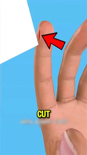 How Does Paper Slice Your Skin So Easily?