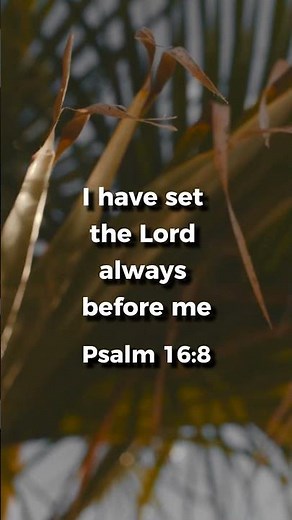 Daily Bible Verse From Daystar Reflections