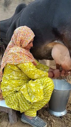 दूध के पीछे की सच्चाई 😲 | ये मेहनत शायद आपने नहीं देखी होगी