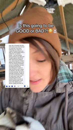 Roots & Rabbits Homestead on Instagram: "Someone sent me this message after processing their first 10 meat rabbits — and I’ll be honest… when I opened it, I thought it might be bad. They didn’t even want rabbits at first. They were already raising chickens and fought the idea hard. Fast forward almost a year later… five breeders, nearly forty rabbits, and their first harvest day. Nothing wasted. Hides saved. Feet saved. Ears saved. Everything else fed back to the homestead. And yes — even their 