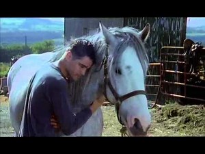 BALLYKISSANGEL S4_E07