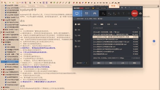[对Linux的一些思考]tcpdump命令
