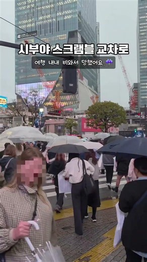도쿄 여행 절망편 시부야 스크램블 교차로 #도쿄여행 #시부야 #스크램블교차로